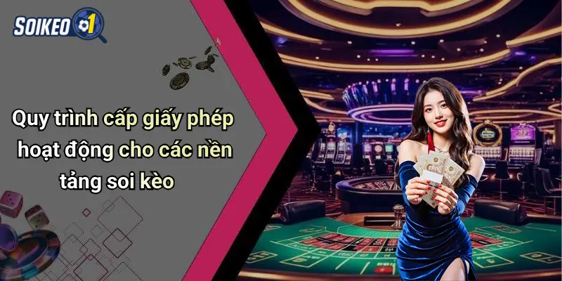 Quy trình cấp giấy phép hoạt động cho các nền tảng soi kèo