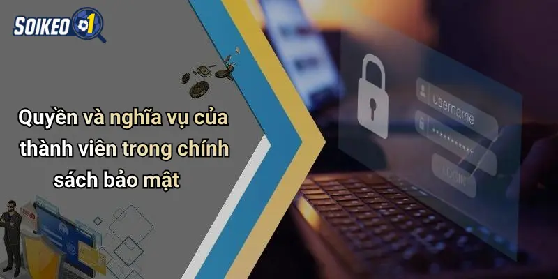 Quyền và nghĩa vụ của thành viên trong chính sách bảo mật