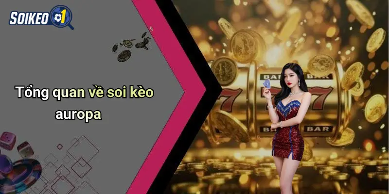 Tổng quan về soi kèo auropa