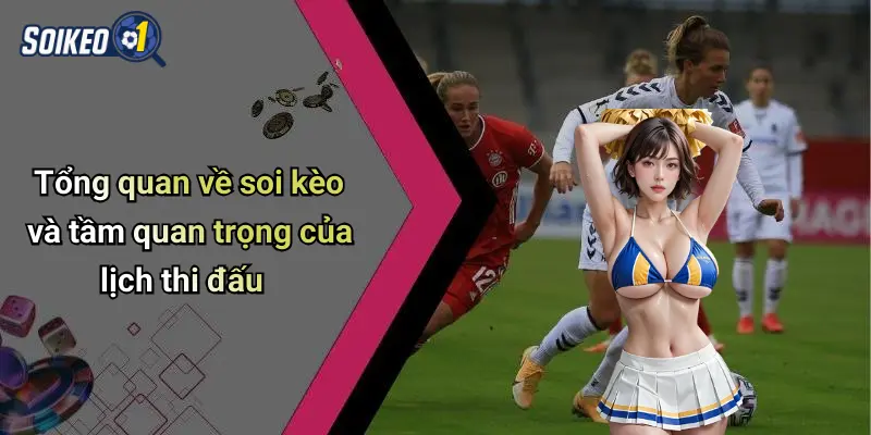 Tổng quan về soi kèo và tầm quan trọng của lịch thi đấu
