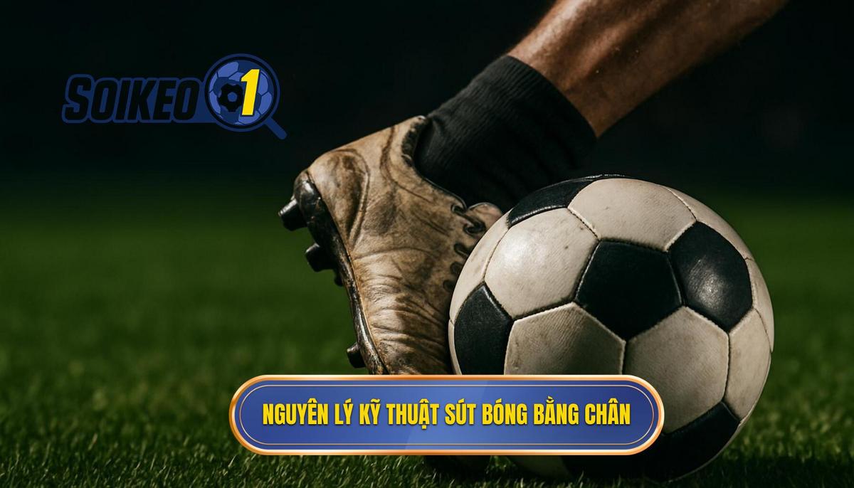 Nguyên lý Cốt lõi của Kỹ thuật sút bóng bằng đầu ngón chân