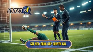 SOI KÈO_ Đẳng cấp chuyên gia.