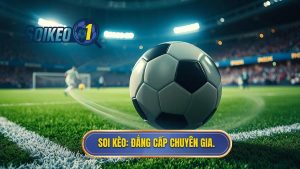 SOI KÈO_ Đẳng cấp chuyên gia.