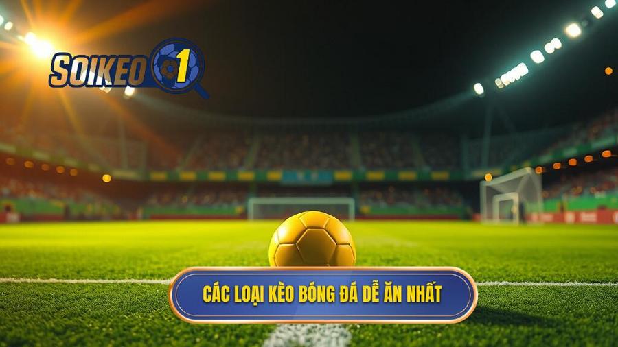 Top những loại kèo bóng đá dễ ăn nhất hiện nay dành cho bạn