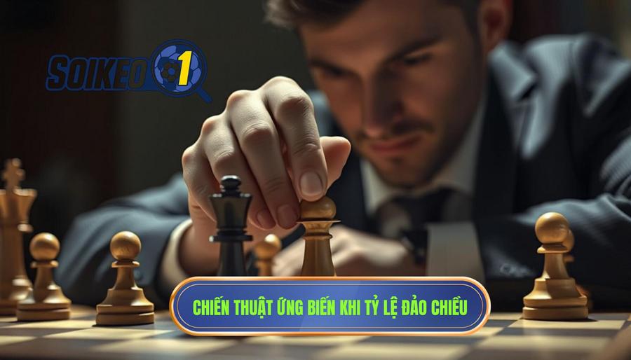Chiến thuật ứng biến khi tỷ lệ cược có xu hướng đảo chiều nhẹ